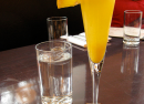 mimosa mimosa