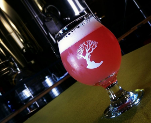 madtree brwing