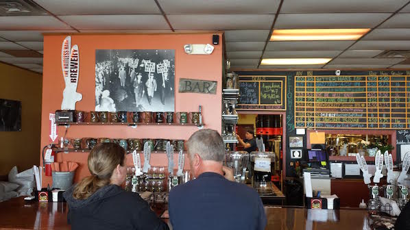 hairless hare brewing